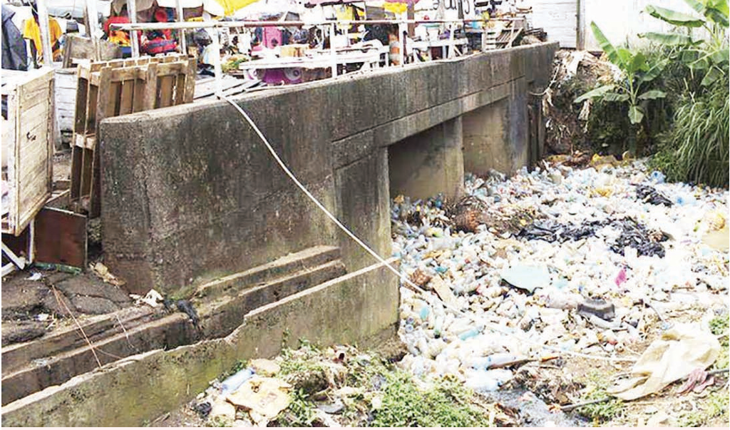 Pollution au Cameroun: Un fléau qui menace l'avenir