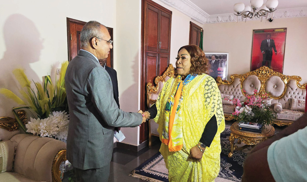 recherche scientifique  Un couac pour l’émergence