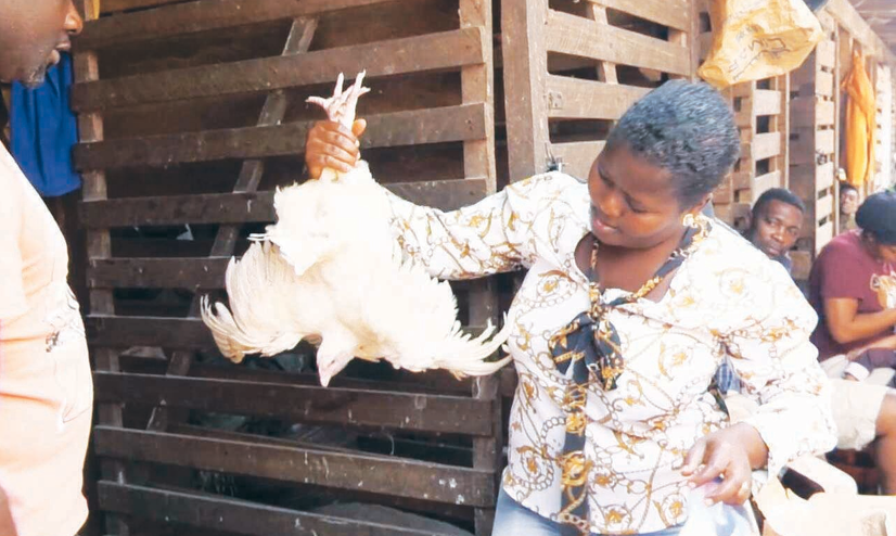 Vie Chère au Cameroun l'impuissance de l'État